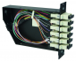 Moduł światłowodowy FanOut 3U/7PU wyposażony w 1 adapter MPO/MTP/PC OM4 i 3x LC Quad (24x LC/PC) - 100022416 (H02050F4271) Telegärtner