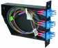 Moduł światłowodowy FanOut 3U/7PU wyposażony w 1 adapter MPO/MTP/APC OS2 i 6x LC Duplex (12x LC/PC) - 100022399 (H02050F4131) Telegärtner